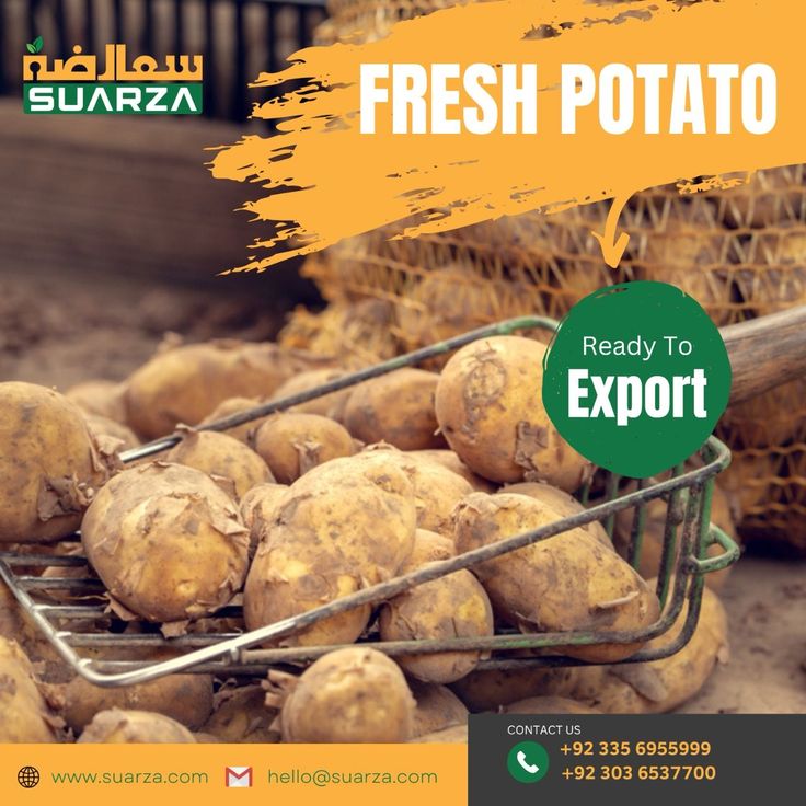 Asterix Potatoes Exporter